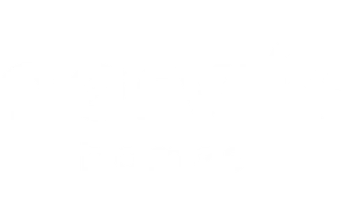 Norvic Homes